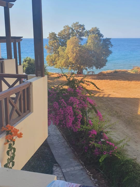 Ausblick Hotel Dedalos Beach