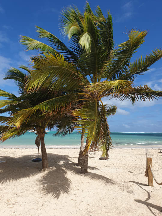 Strand Lopesan Costa Bávaro Resort, Spa & Casino