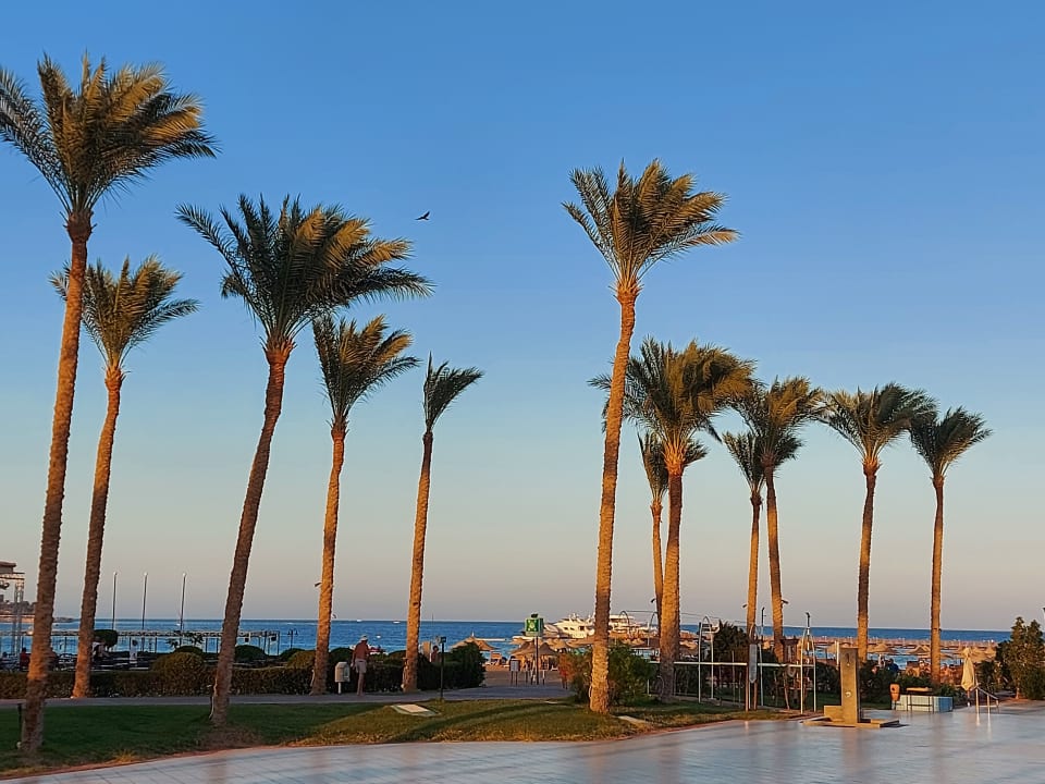 Ausblick Cleopatra Luxury Resort Makadi Bay