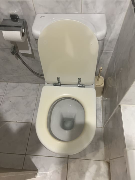 Zimmer Sunshine Rhodes