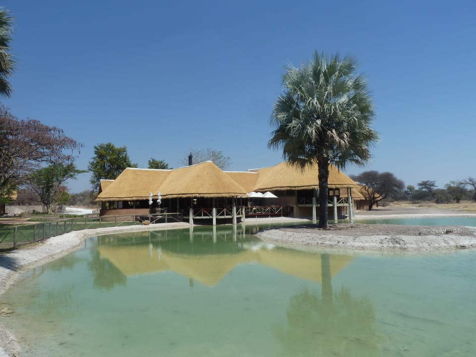 Restaurant am Wasserloch Onguma Game Reserve