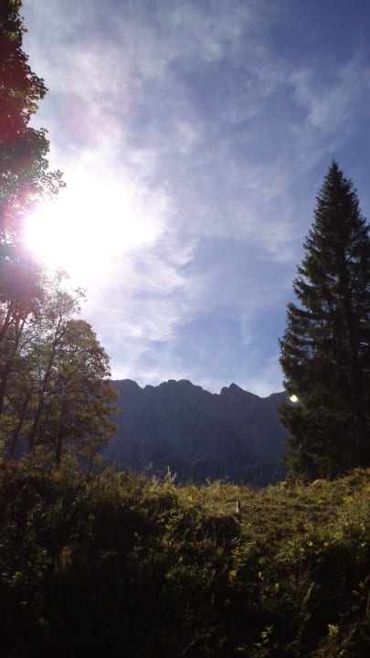 Wolayeralm Bio - & Kinderbauernhof Fritzer