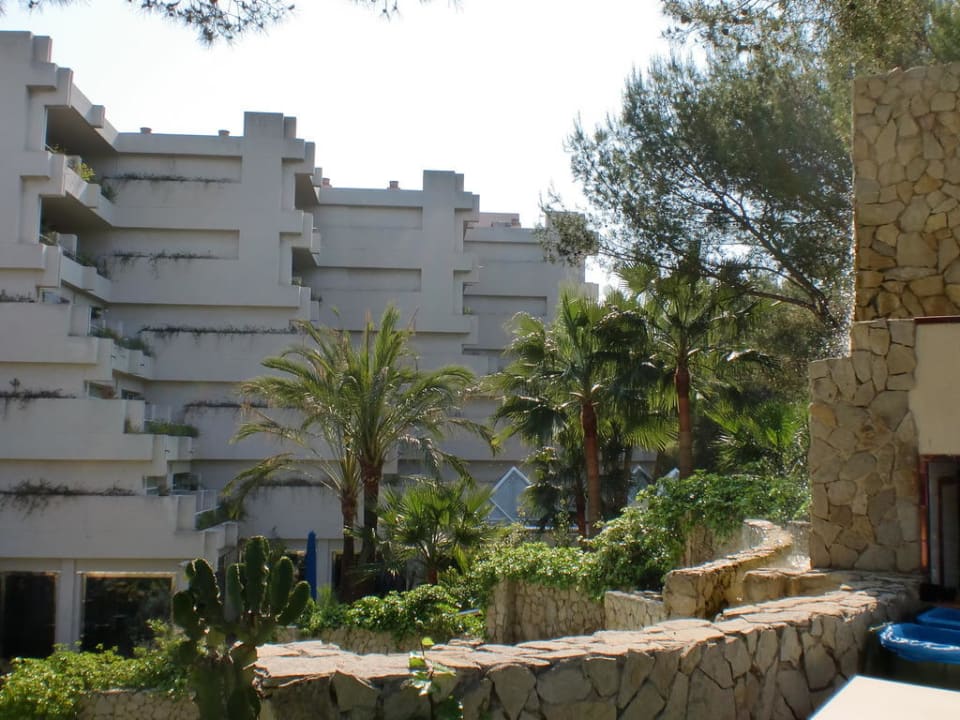 Garten allsun Hotel Bella Paguera