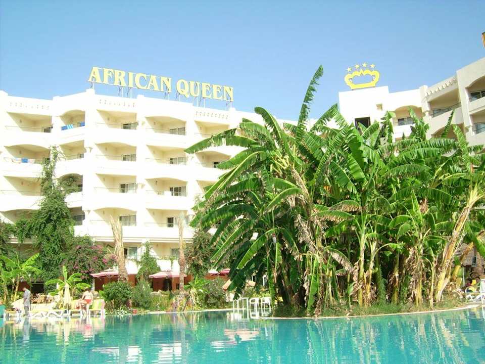 Das Hotel Hotel African Queen