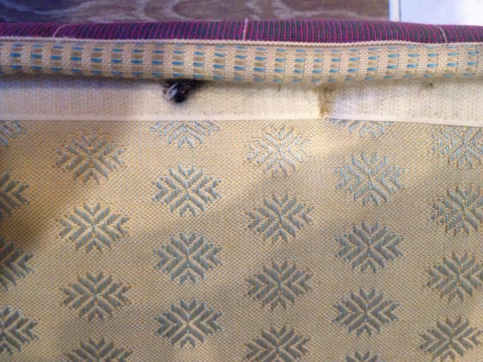 Zimmer Side Star Elegance