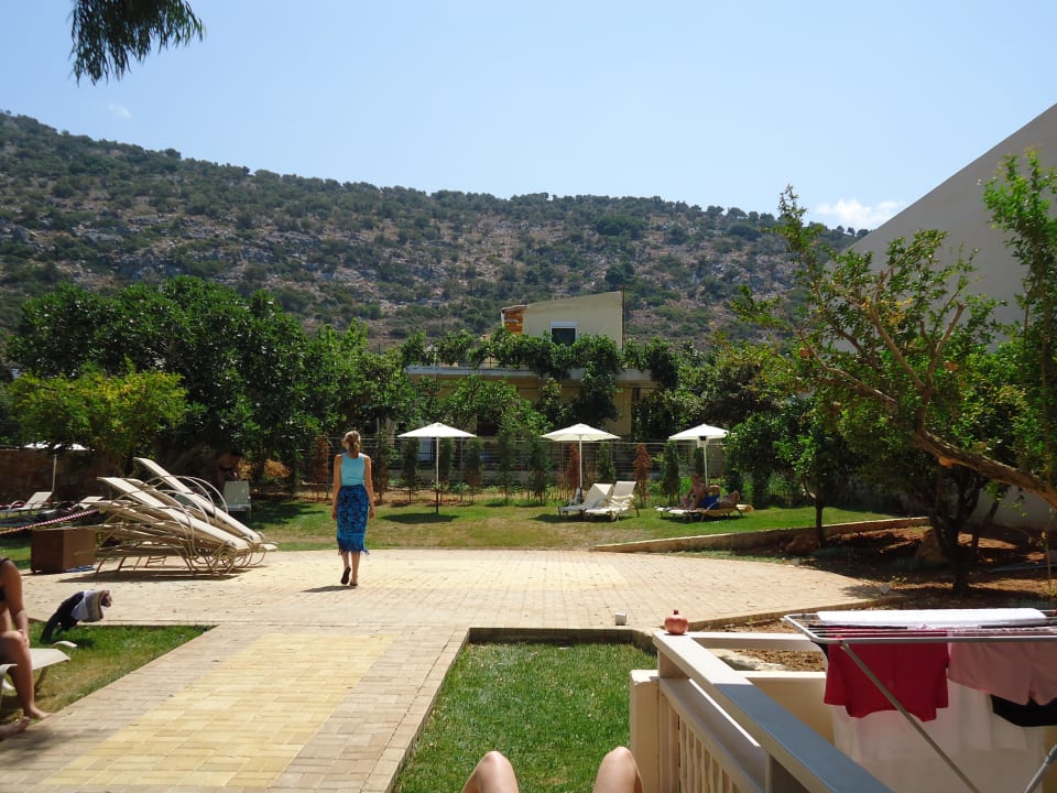 Liegeweisen zur Alternative Cactus Royal