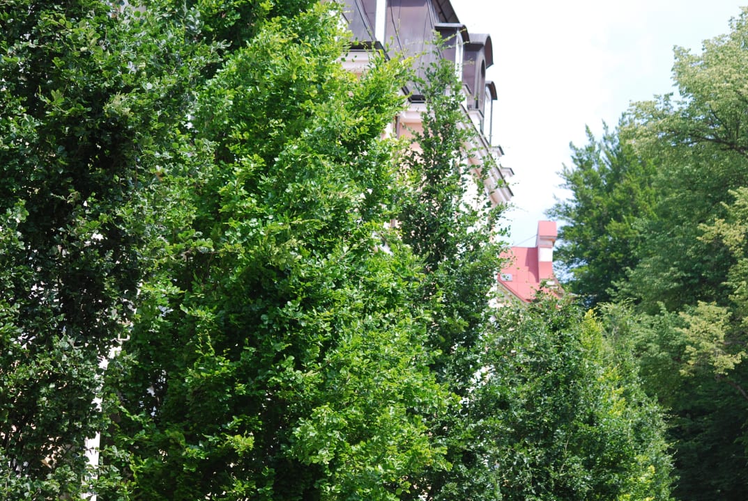 Sonstiges Falkensteiner Spa Resort Marienbad