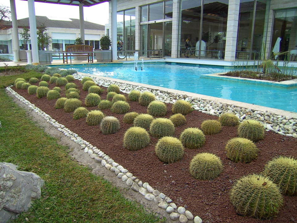 Gepflegte Anlage Prinsotel La Dorada