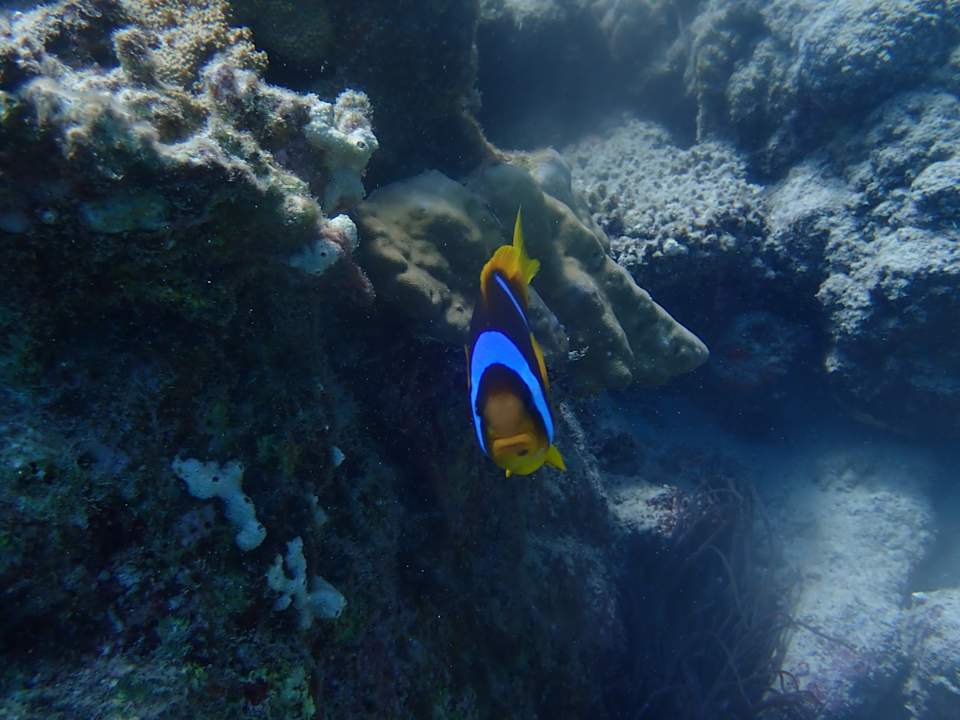 Sport & Freizeit Beach Safari Nubian Resort