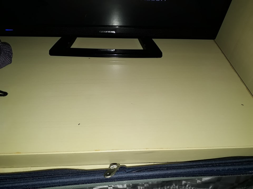 Zimmer blau punta reina