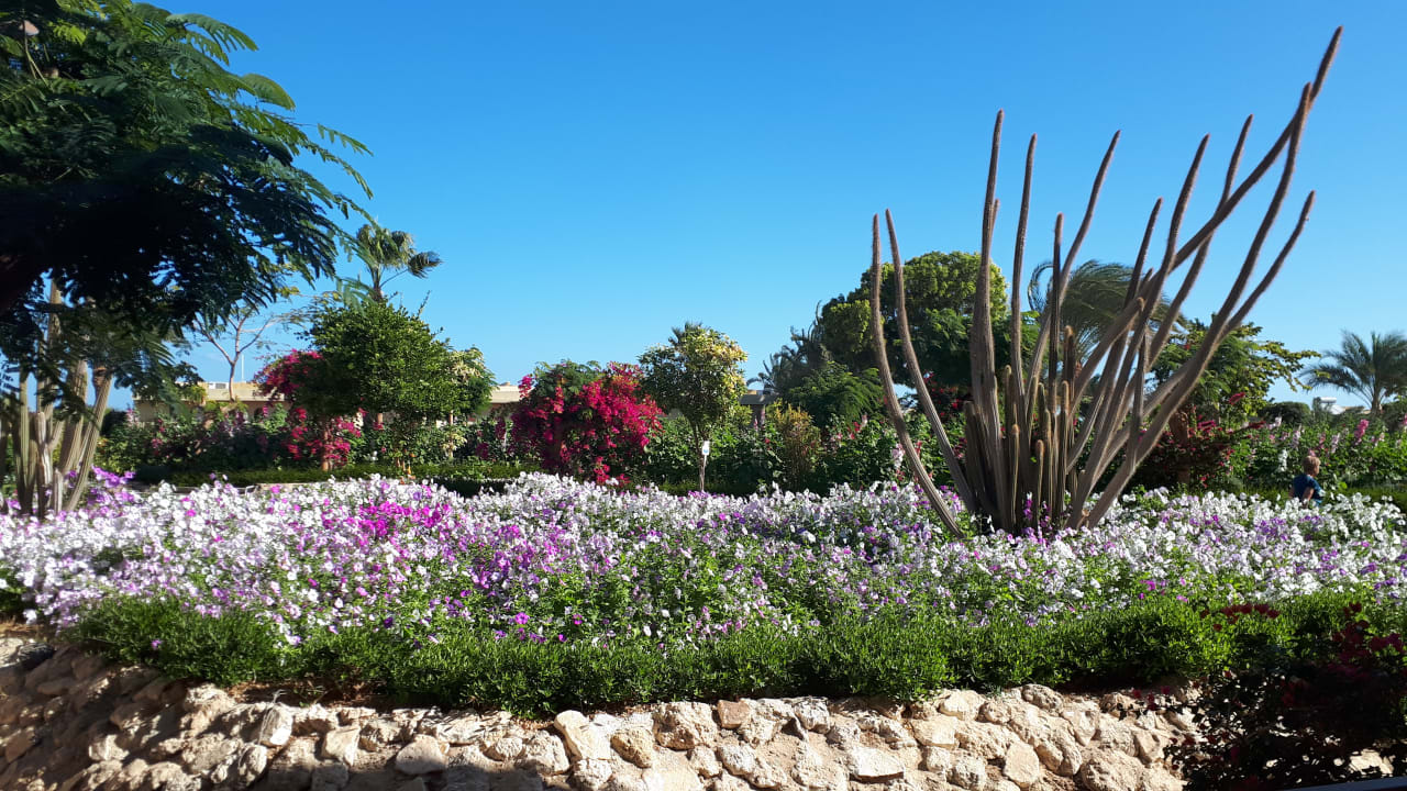 Garten Three Corners Fayrouz Plaza Beach Resort