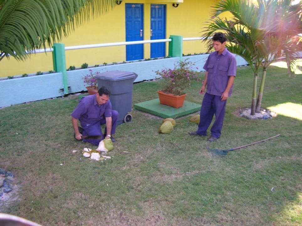 Zwei Gärtner beim Öffnen einer frischen Kokosnuss Hotel Gran Caribe Club Kawama