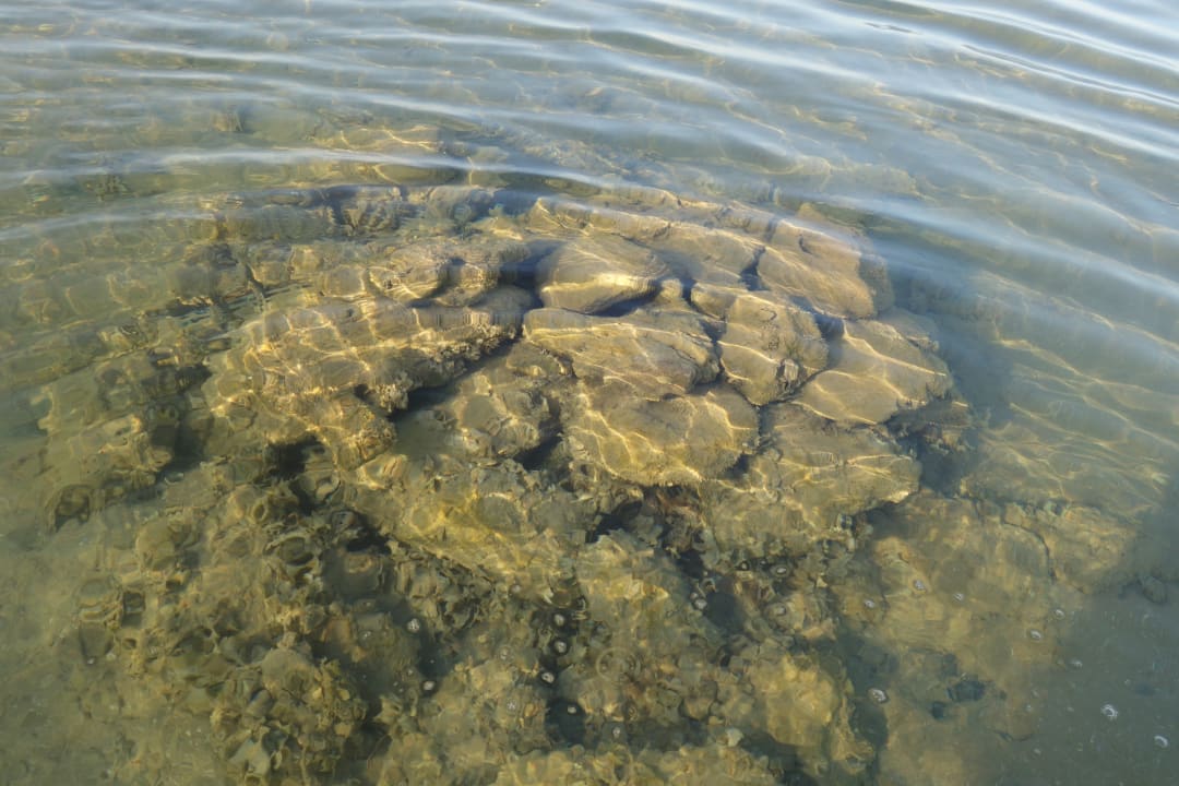 Strand Shams Prestige Abu Soma-Adults Only