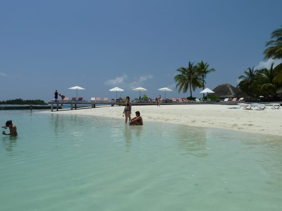 Pool an der Lagune Kuramathi Maldives