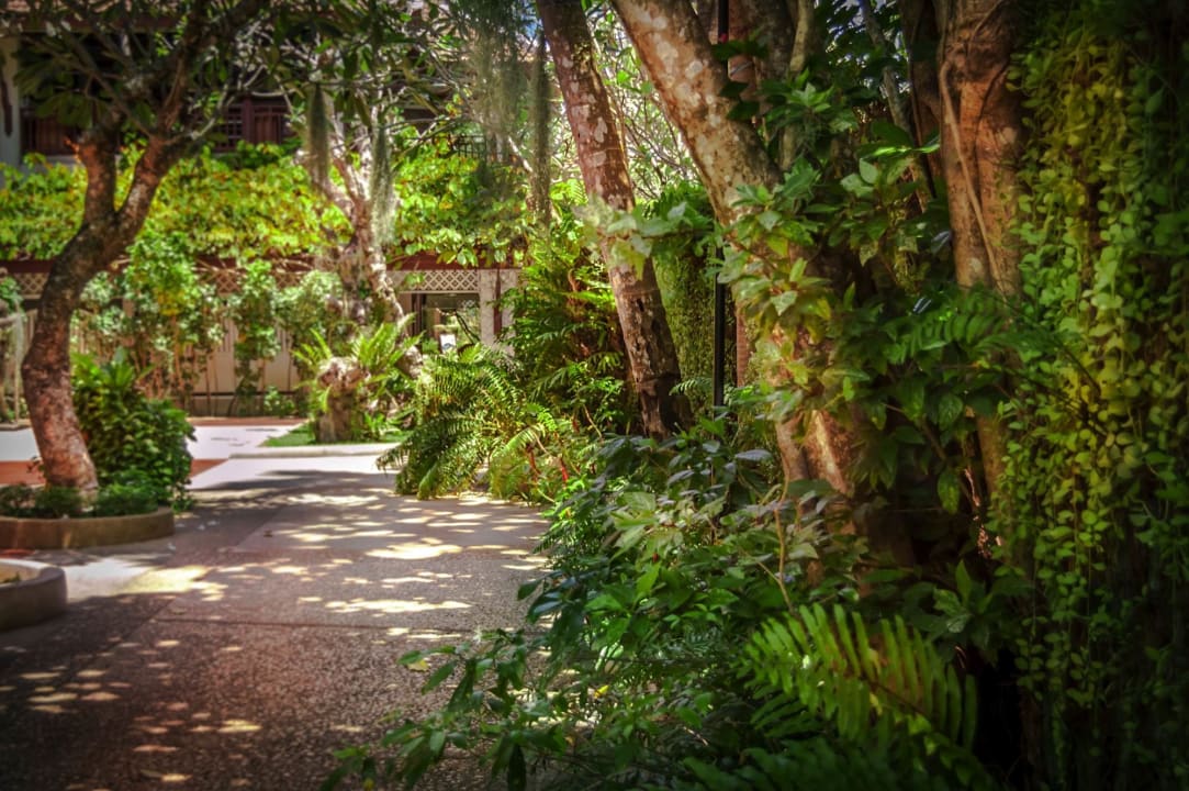 Gartenanlage Thavorn Beach Village Resort & Spa
