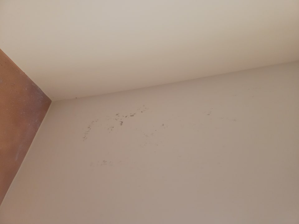 Zimmer Tropical Deluxe Princess