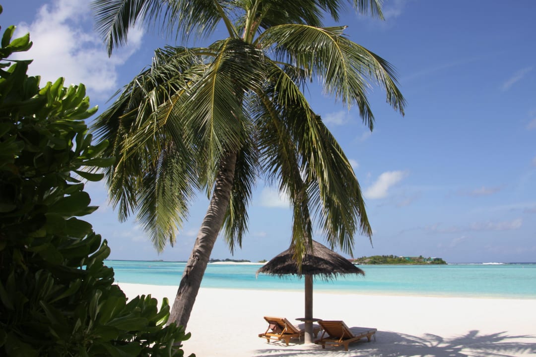 Postkartenmotiv? Anantara Veli Maldives Resort - Adults only