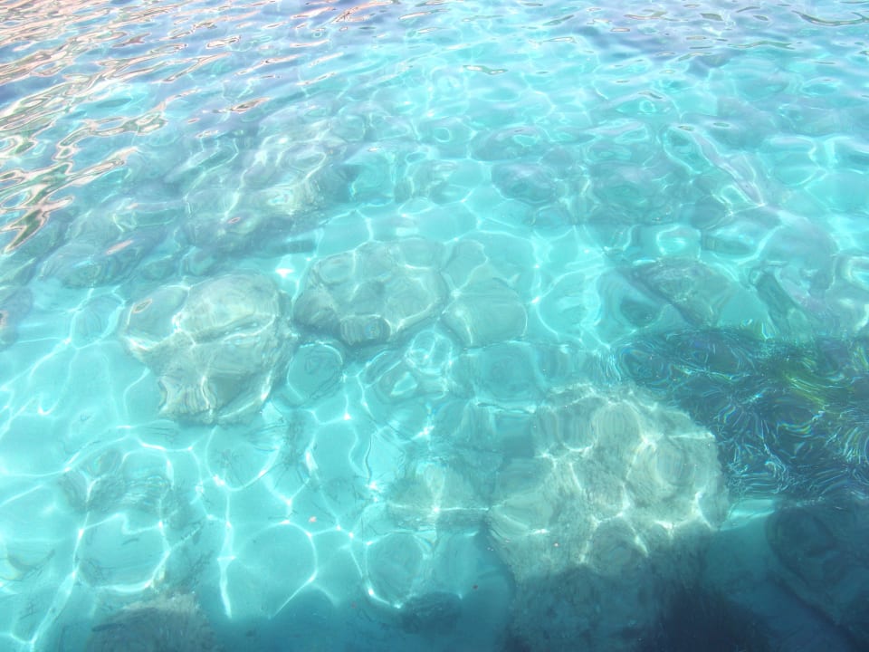 Meerwasser Hotel Vibra Beverly Playa