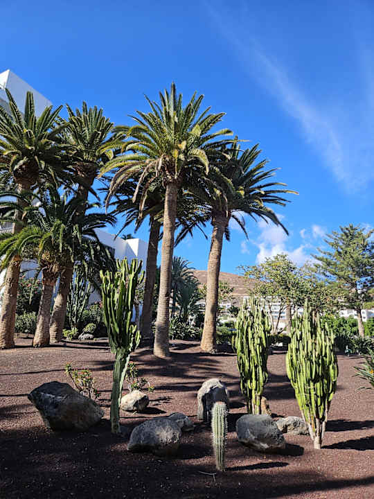 Gartenanlage ROBINSON JANDIA PLAYA