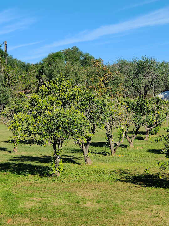 Sonstiges Lago Garden