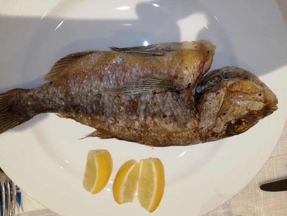 Gastro Maritim Hotel Paradise Blue Albena