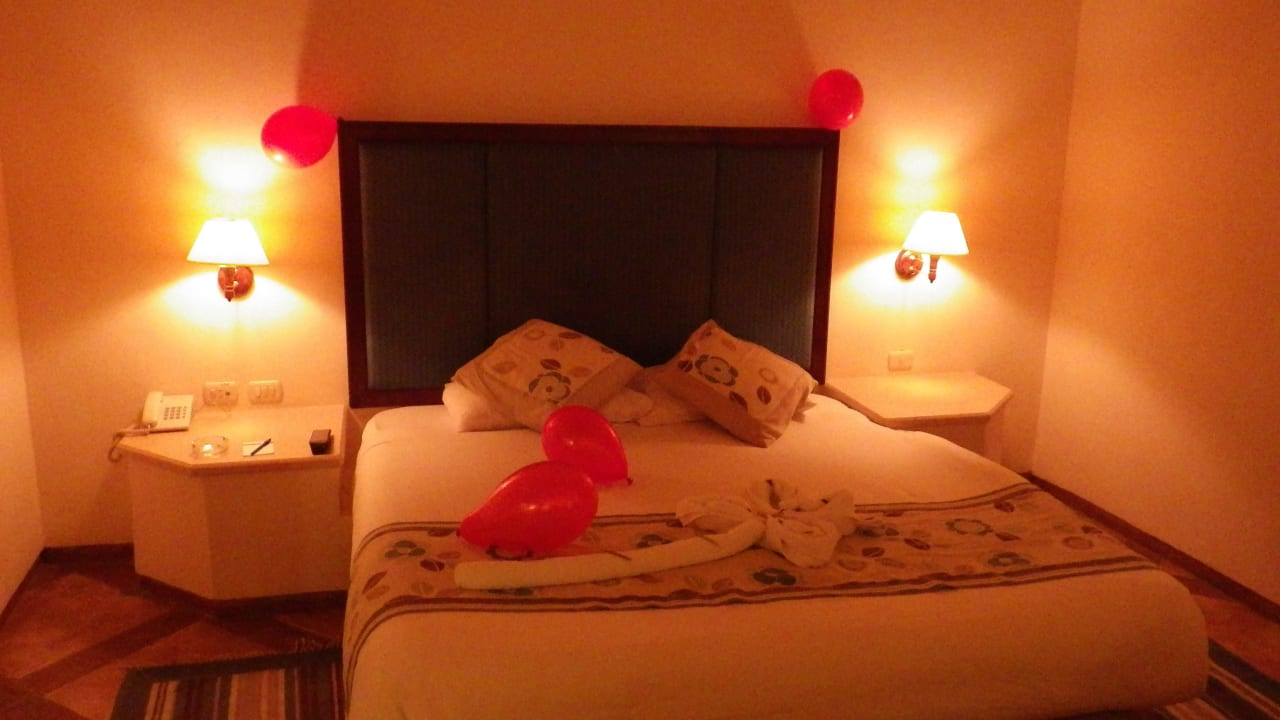 Zi.Nr.3102 Standardzimmer Pickalbatros Citadel Resort