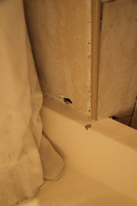 Schimmel Hotel Berjaya Eden Park