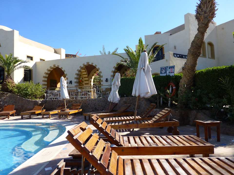Pool und Poolbar Dawar El Omda - Adults only  (Im Umbau/Renovierung)