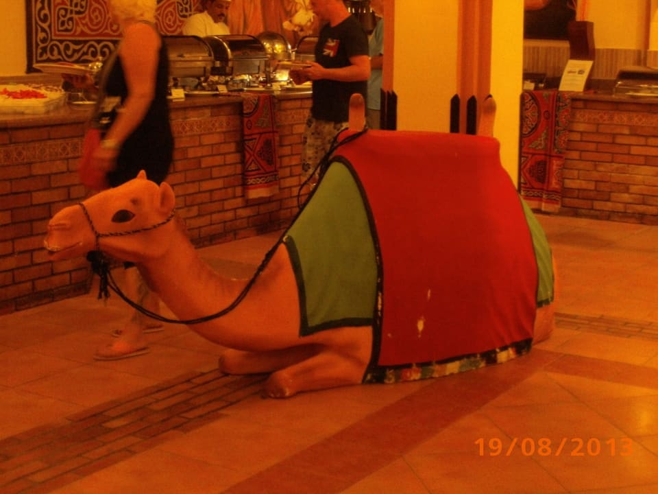 Hatte auch Hunger ... Jaz Makadi Oasis Resort