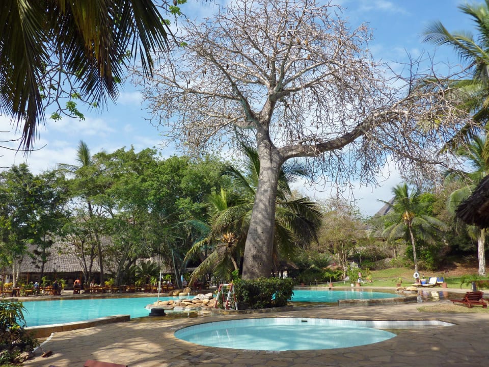 Blick auf die beiden Pools Hotel Papillon Lagoon Reef