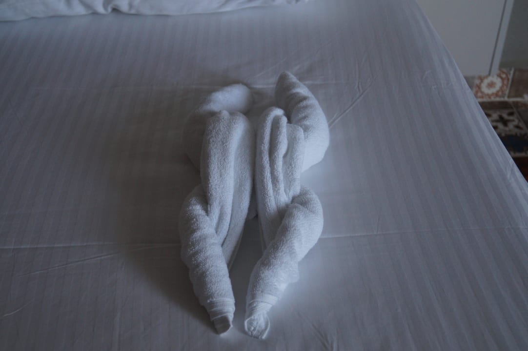 Жаренный гусь Club Hotel Anjeliq