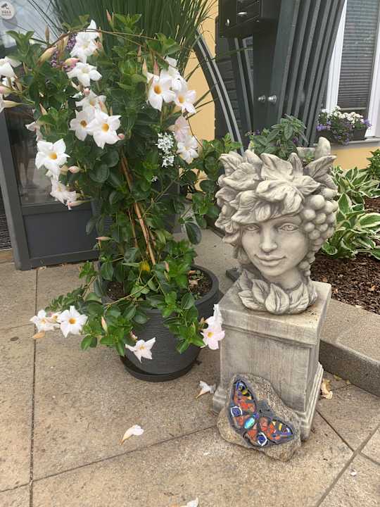 Außenansicht Spirit & SPA Hotel Birkenhof am Elfenhain