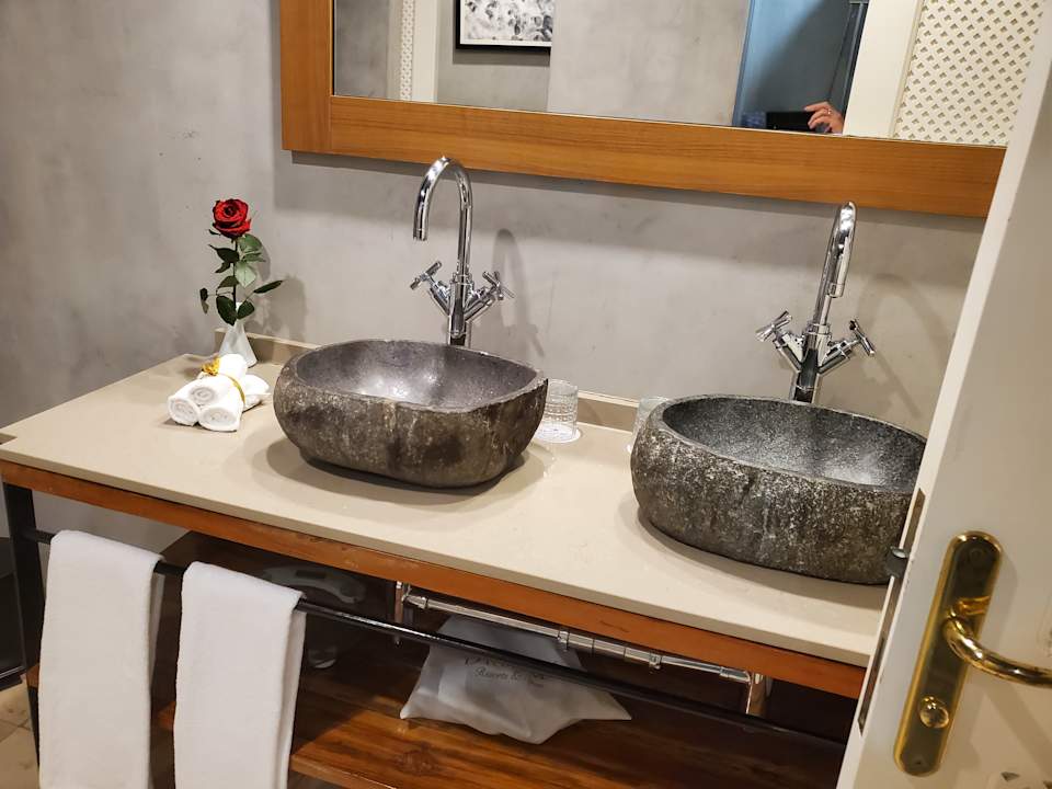 Zimmer Dreams Jardín Tropical