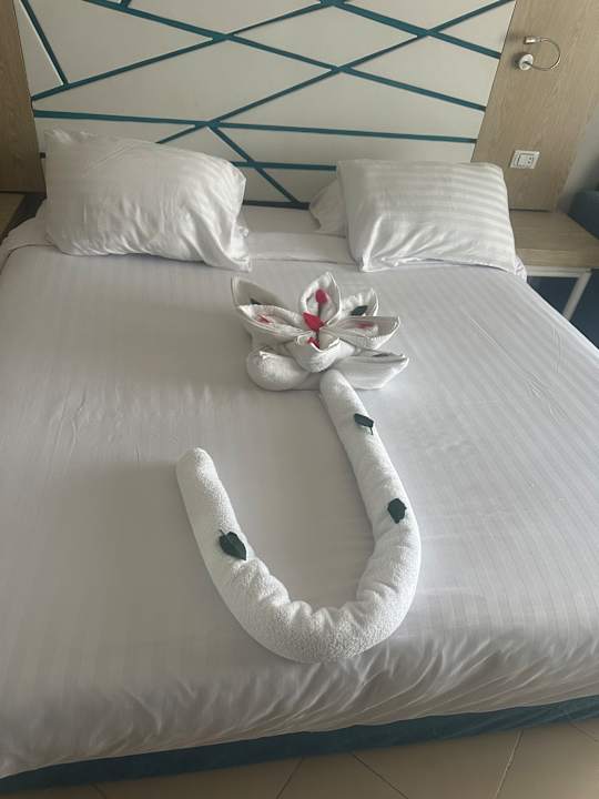 Zimmer Gravity Hotel & Aqua Park Hurghada