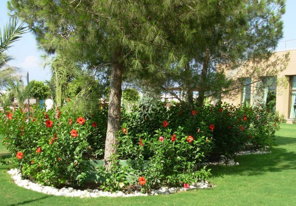 Garden in the front-yard Voyage Belek Golf & Spa