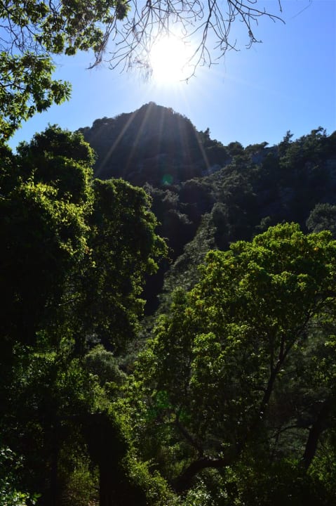 Gartenanlage Hillside Beach Club