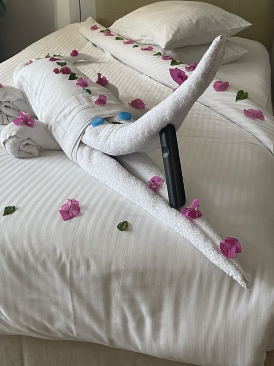 Zimmer Premier Le Reve Hotel & Spa