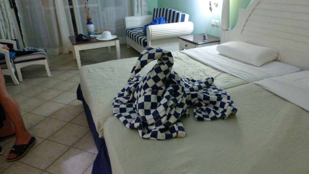 Schwan im Bett Fiesta Americana Punta Varadero