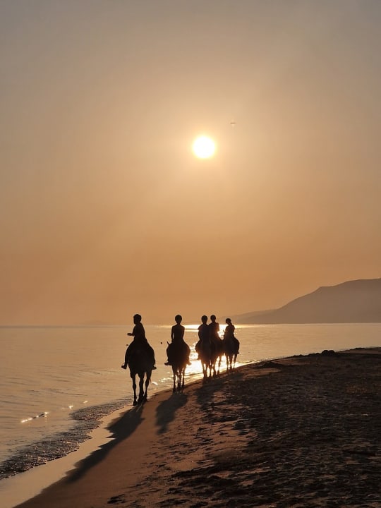 Strand Delfina Boutique Hotel