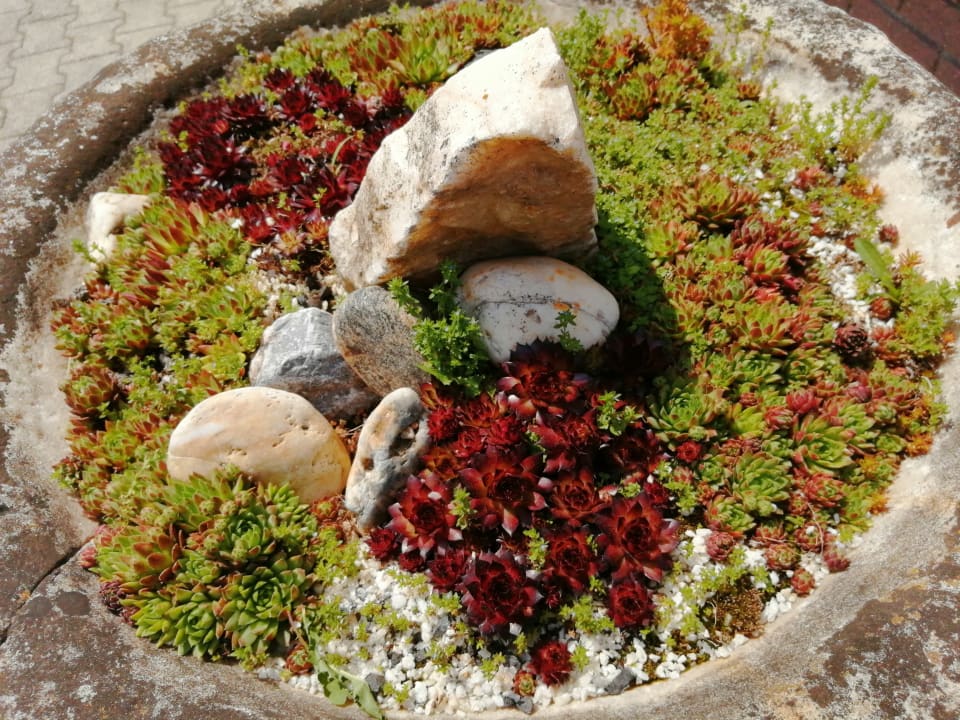 Gartenanlage Strandpension Adametz