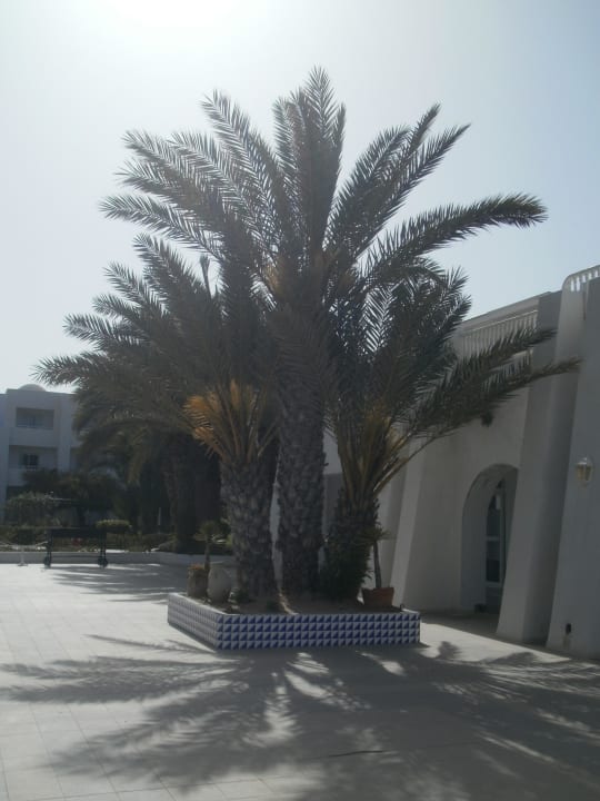 Garten Hotel El Mouradi Djerba Menzel