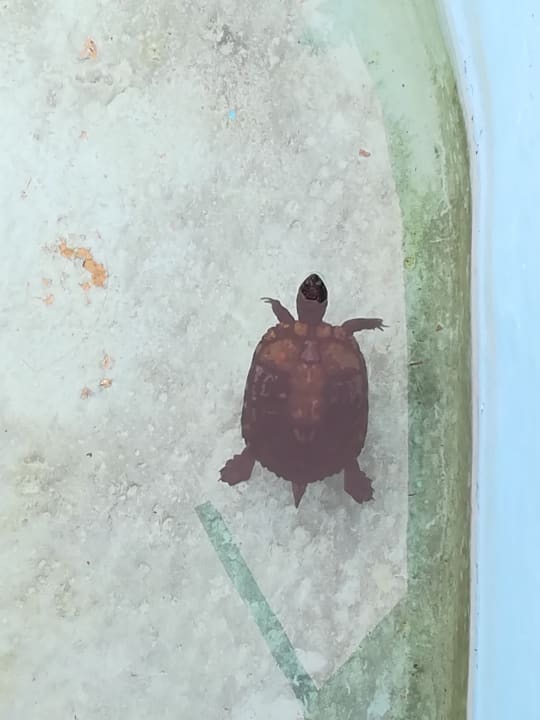 Sonstiges HL Miraflor Suites Hotel