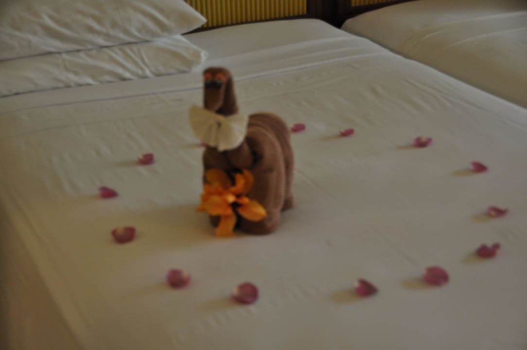 Jeden Tag anders Hotel Riu Tequila