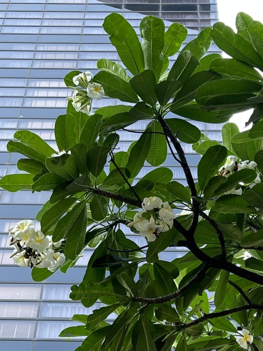 Außenansicht Holiday Inn Bangkok Sukhumvit by IHG