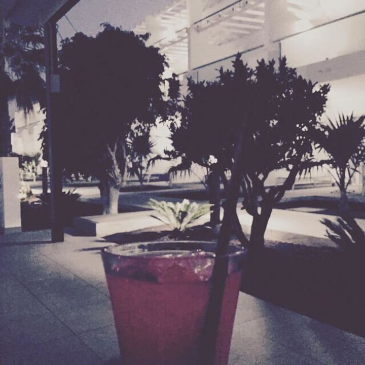 Love ob the Beach Sentido Aequora Lanzarote Suite