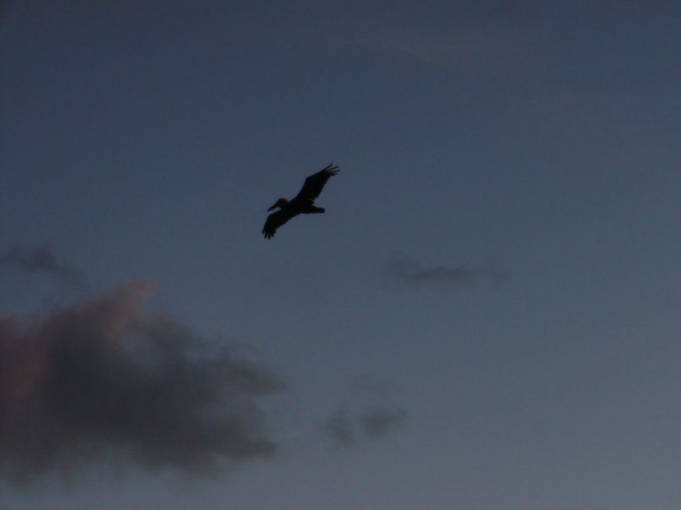 Jeden Morgen kam er Hotel Grand Palladium Palace Resort, Spa & Casino