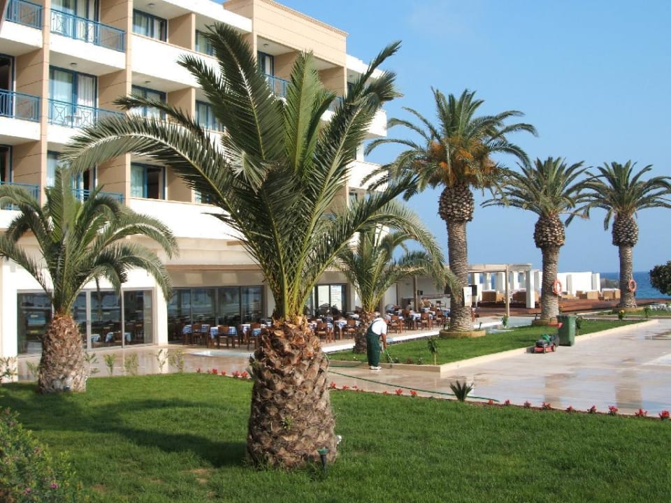 Hotel mit Snack-Bar The Ixian Grand & All Suites