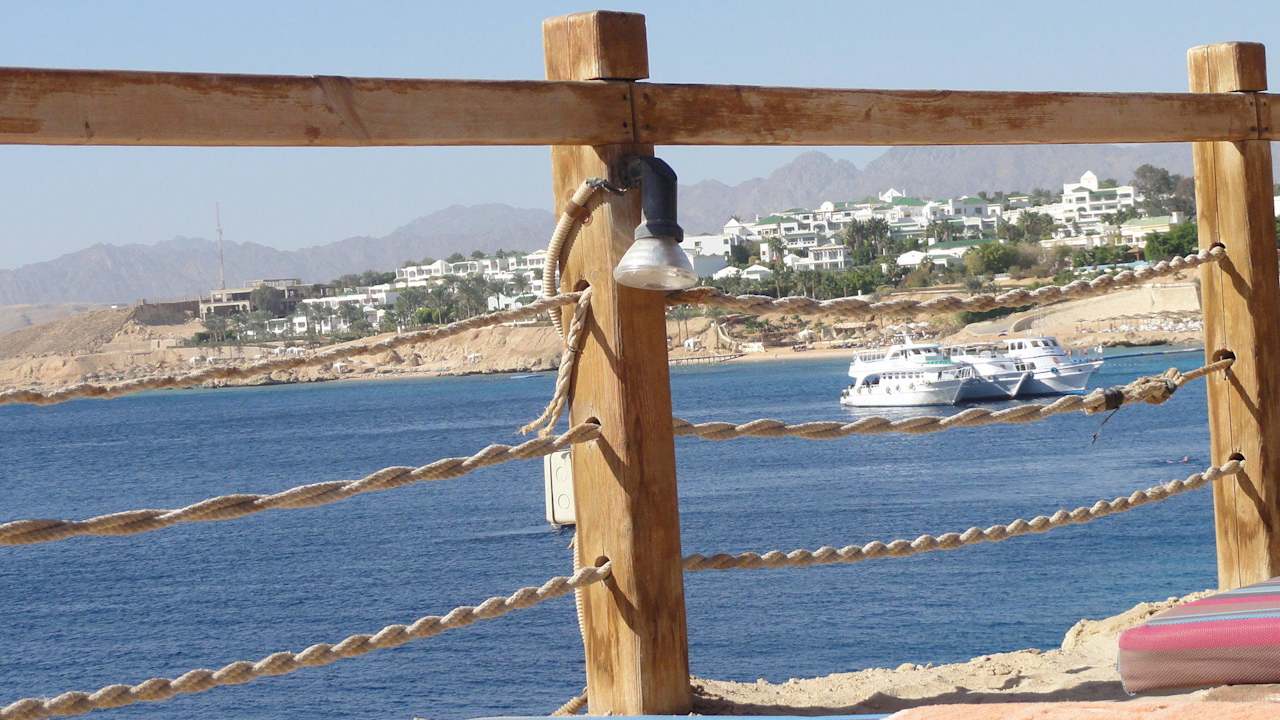 Blick von der Liege Sharm Plaza