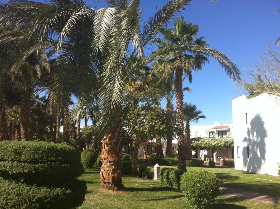 Auf dem Weg zum Zimmer Lotus Bay Beach Resort