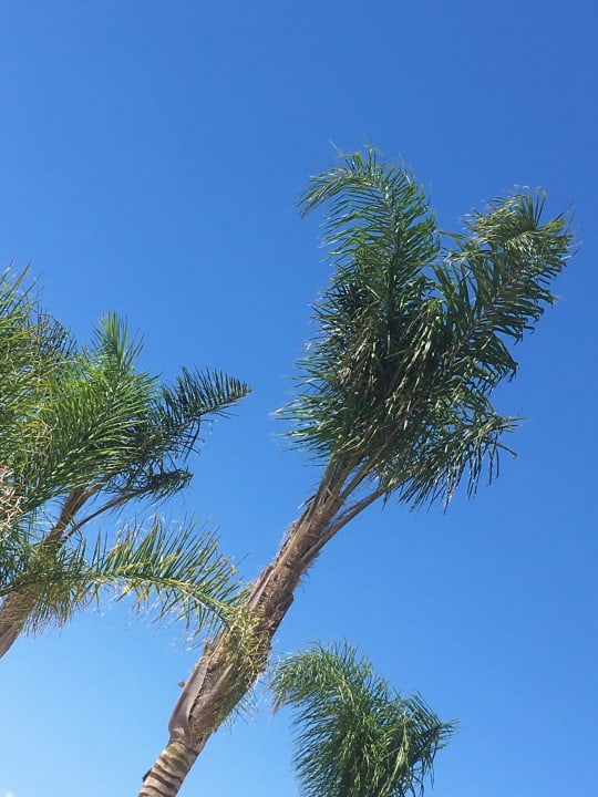 Ausblick TUI MAGIC LIFE Calabria